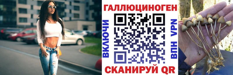 Галлюциногенные грибы ЛСД Купить где Электрогорск